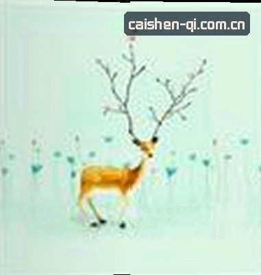 赵雪
